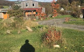 Rechhof Urlaub Bei Tieren